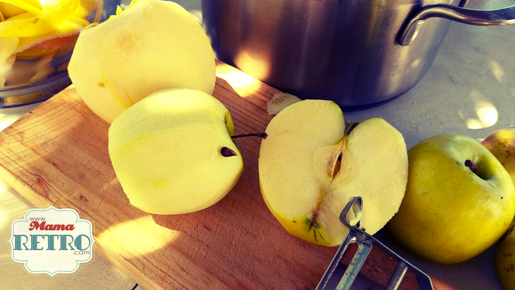 Vinagre de manzana casero hecho de pelas y corazones