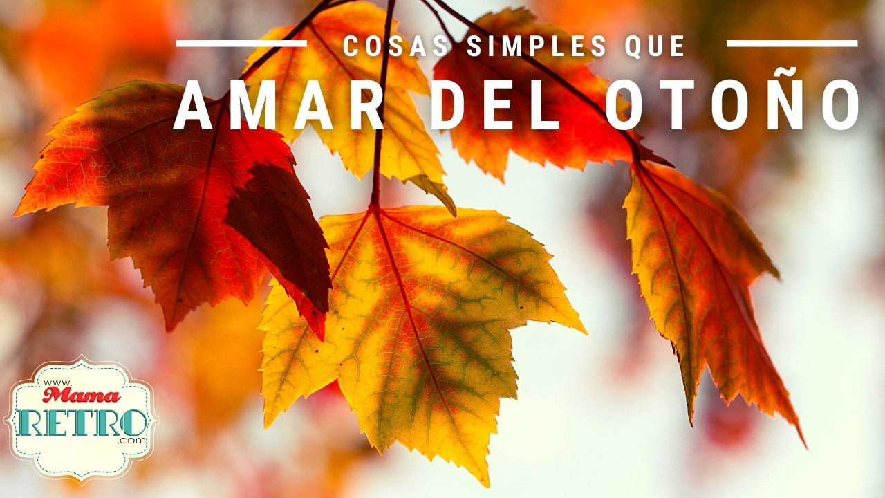 Cosas simples que amar del otoño